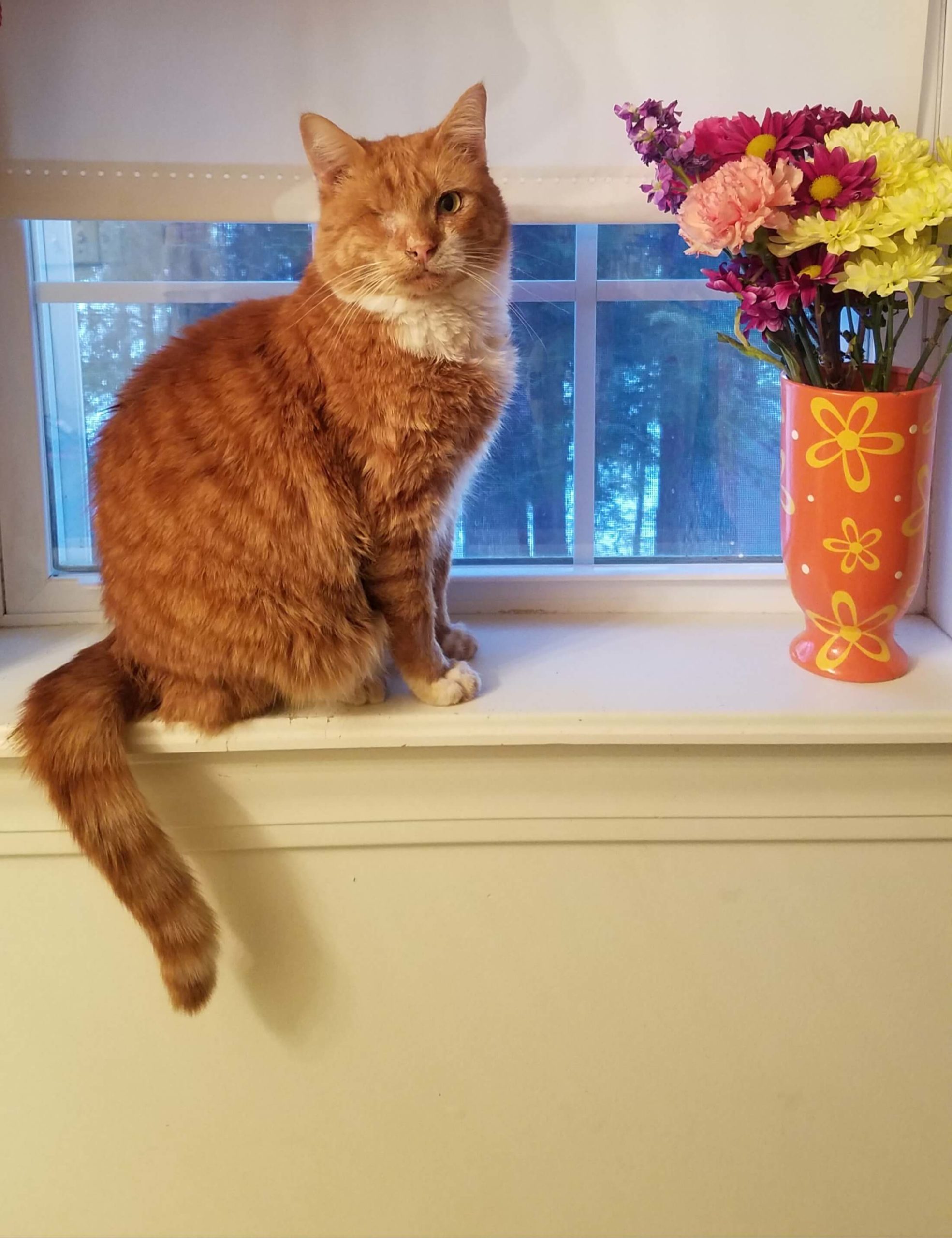 Orange Julius (-JJ-)