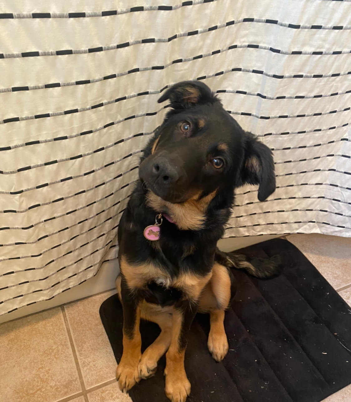 Roo