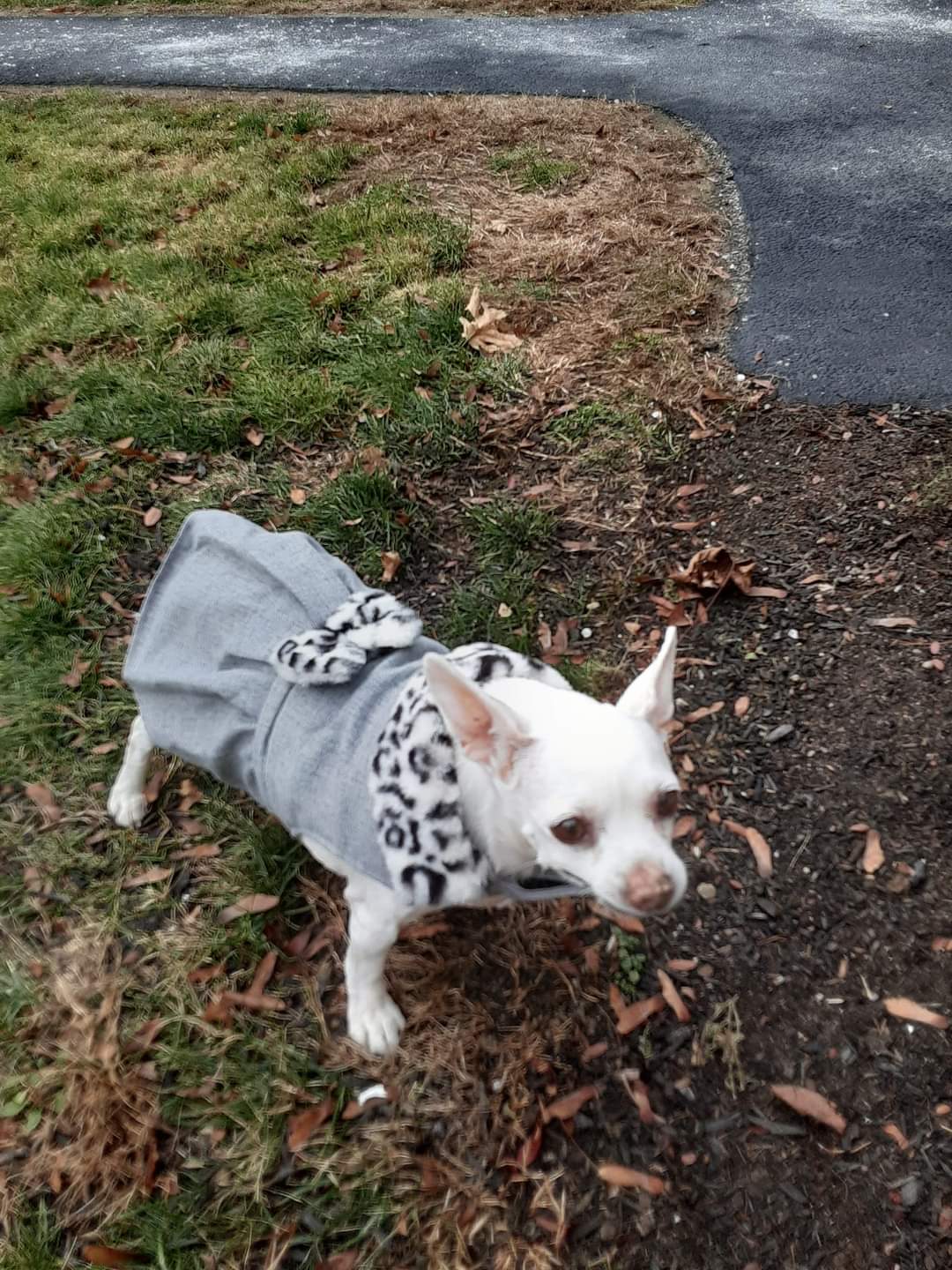 Lily as Princess Grace of Monoco